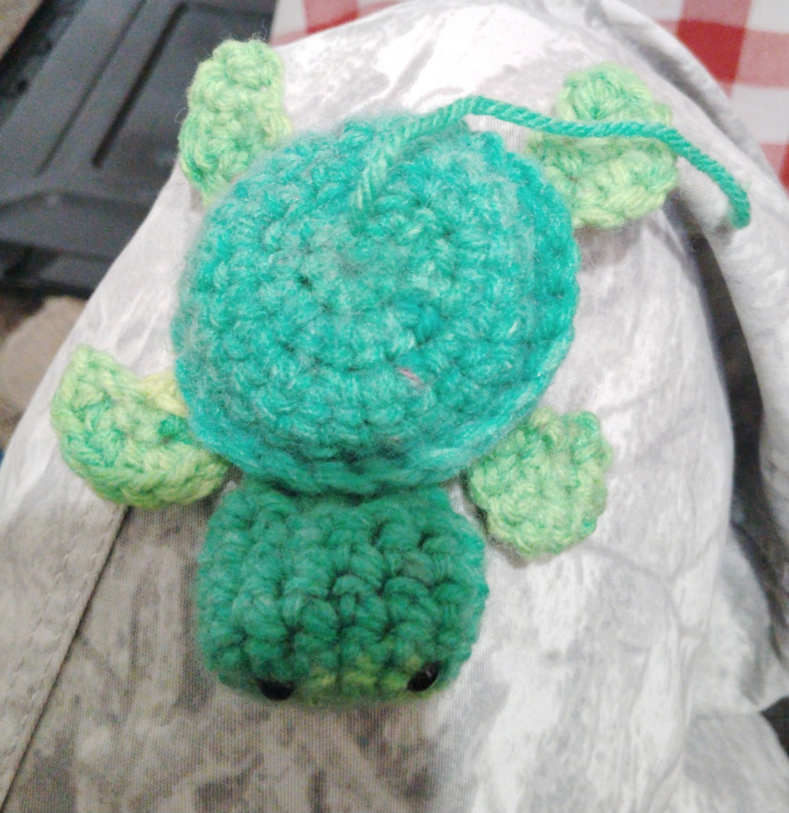 mini turtle